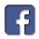 facebook ico